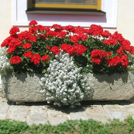 Gasthof Bauernhofpension Herzog Zu Laah